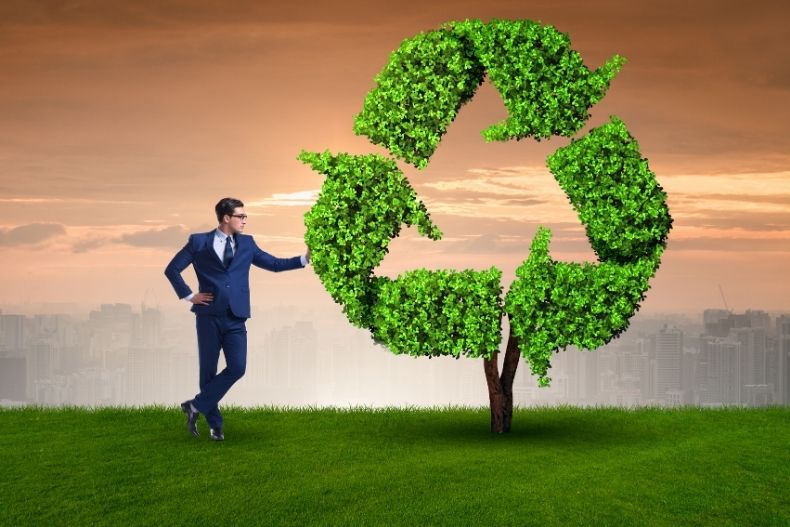 Eco-Friendly Businesses