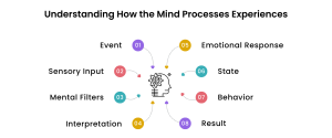How Your Mind Processes Experiences